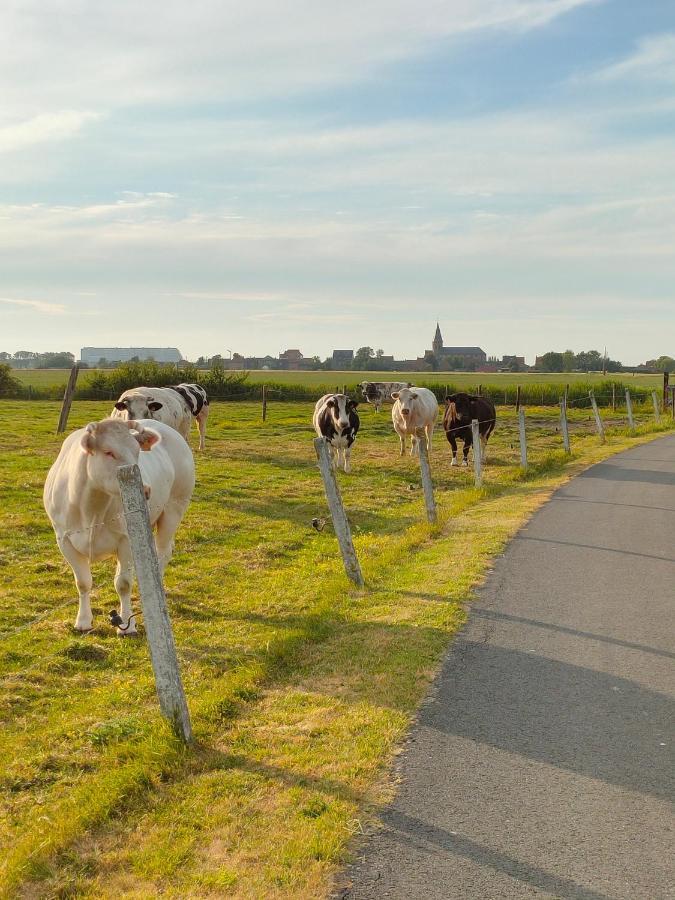 Gastenverblijf Hof Moye Tyt Middelkerke Kültér fotó